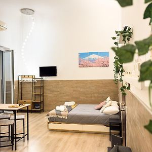Trip In Loft